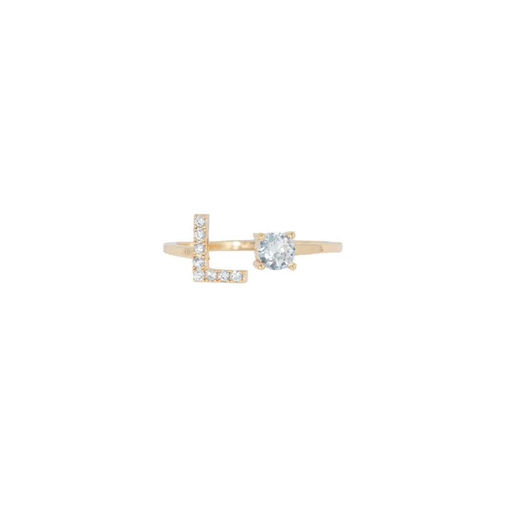316L Stainless Steel Crystal Initial Ring
