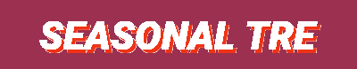 Spring-Summer Highlights | Promotions | Clearance Zone | Fall-Winter Collections